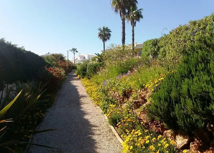 Coelha - Pool - Free Wi-fi - Air Con Appartement